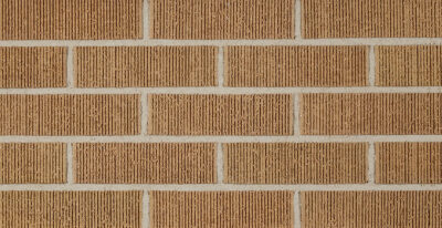 Belden- 505 Vertical